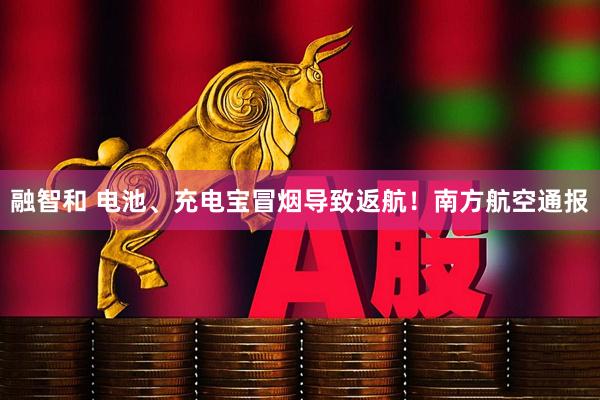 融智和 电池、充电宝冒烟导致返航！南方航空通报