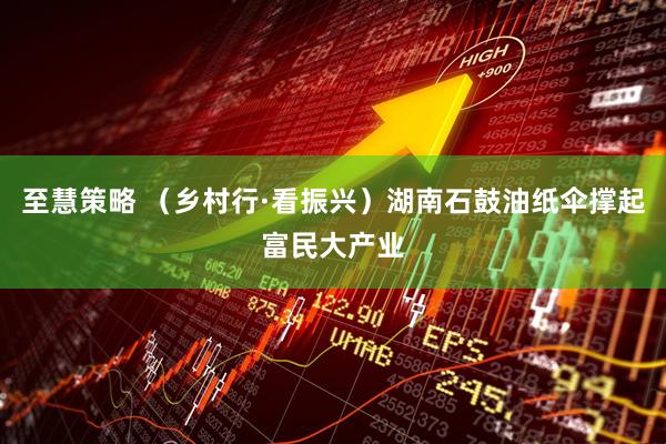 至慧策略 （乡村行·看振兴）湖南石鼓油纸伞撑起富民大产业