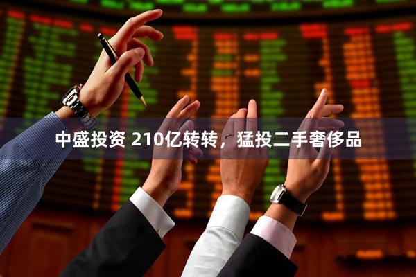 中盛投资 210亿转转，猛投二手奢侈品
