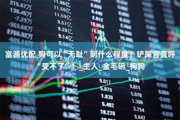 富源优配 狗可以“无耻”到什么程度？铲屎官直呼“受不了”！_主人_金毛碗_狗狗