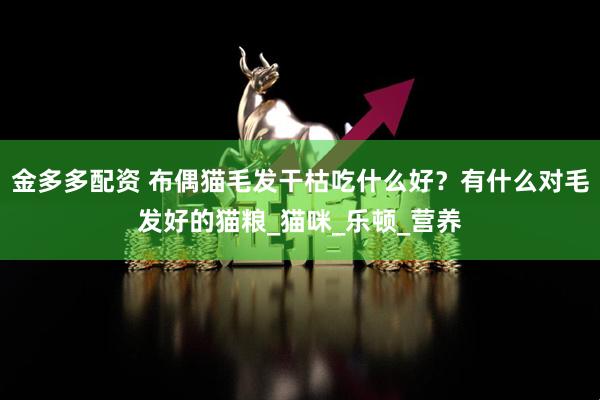 金多多配资 布偶猫毛发干枯吃什么好？有什么对毛发好的猫粮_猫咪_乐顿_营养