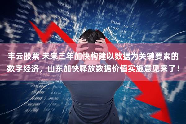 丰云股票 未来三年加快构建以数据为关键要素的数字经济，山东加快释放数据价值实施意见来了！