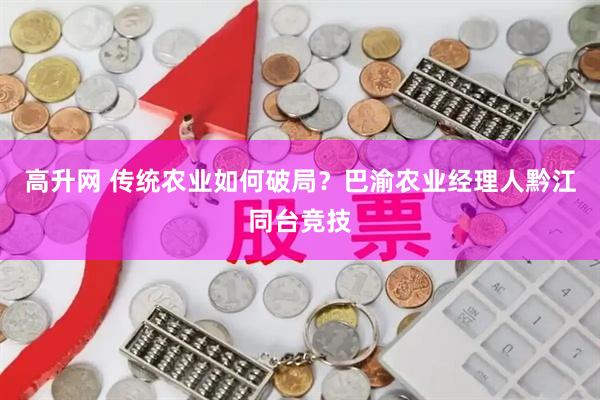 高升网 传统农业如何破局？巴渝农业经理人黔江同台竞技