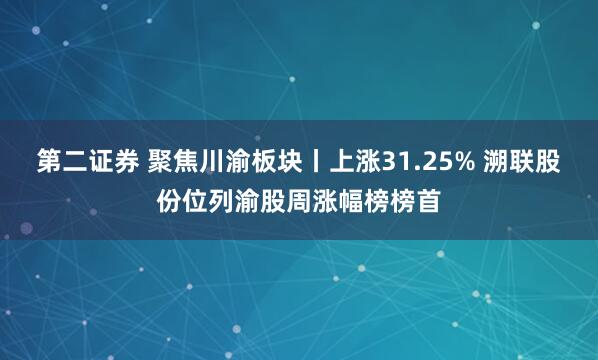 第二证券 聚焦川渝板块丨上涨31.25% 溯联股份位列渝股周涨幅榜榜首