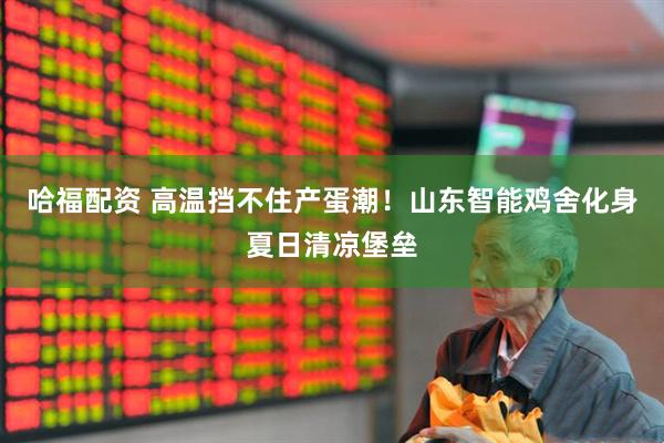 哈福配资 高温挡不住产蛋潮！山东智能鸡舍化身夏日清凉堡垒