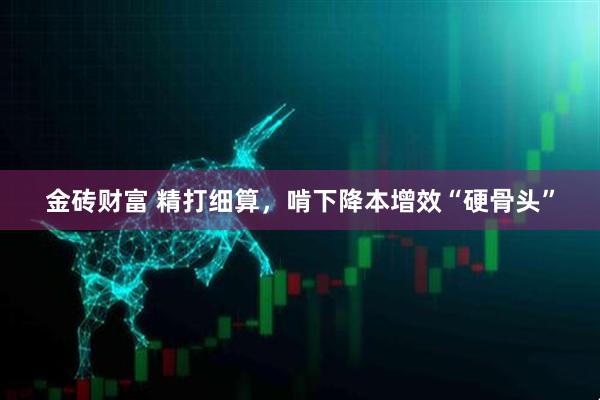 金砖财富 精打细算，啃下降本增效“硬骨头”
