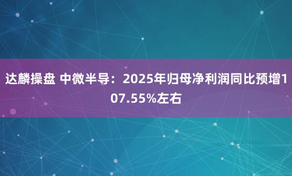 达麟操盘 中微半导：2025年归母净利润同比预增107.55%左右